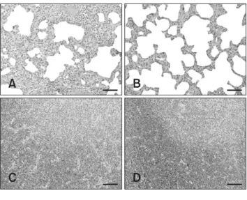 Fig. 4. Effects of GB on PRRSV clearance in experimentally  infected pigs. At 12 DPI, the viral titer of lung (LUN) tissues  from the 0.3% GB-fed pigs was significantly decreased  compared that for the control group (*p ＜ 0.05)