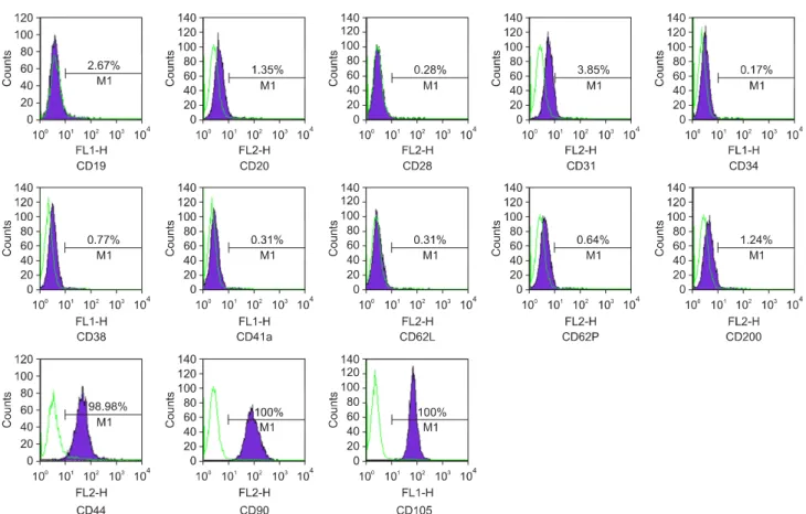 Fig. 2. Flow cytometry analysis of eAM-MSCs. The analysis was performed at passage 5. Values show the signal intensity of the  indicated antigen