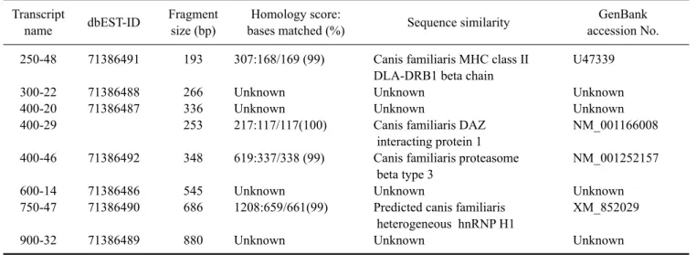 Table 2. Differentially expressed gene transcripts associated with gauze-induced inflammation in the omentum of dogs showing  sequence similarities with known genes