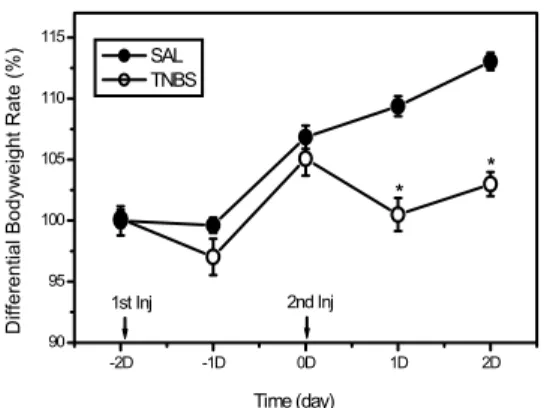 Fig. 1. Effects  of  TNBS  injection  into  the  colon  on  body  weight  in  rats.  All  animals  were  subjected  to  the  injection  of  saline  (SAL  group)  for  a  study  control  and  TNBS  (TNBS  group)  into  the  lumen  of  the  colon  (8  cm  pr