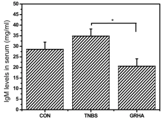 Fig. 6. Effects  of  GRHA  in  Hapgok  (LI4)  on  IgG  levels  in  rats.  *  (p&lt;0.05)  indicates   sig-nificant  difference  from  CON  group