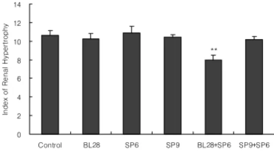 Fig. 2. Effects  of  moxibustion  according  to  treated  acupoints  on  serum  BUN  in  experimental  acute  renal  failure    rats  induced  by  uranyl  acetate(5mg/kg)