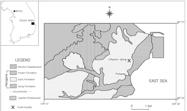 Fig. 3.  Pleuronichthys  sp. (A: DSHS-FS-2015001, B: