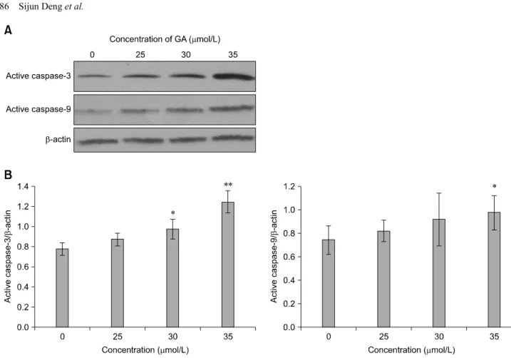 Fig. 7. Expressions of caspase-3 and caspase-9 in RAW264.7 cells without or with GA treatment