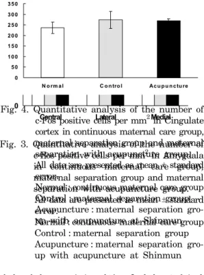 Table Ⅳ. The  number  of  c-Fos  positive  cells  per  mm 2   in  Cingulate  cortex  in  continuous  maternal  care  group,  maternal   sepa-ration  group  and  maternal  sepasepa-ration  with  acupuncture  group