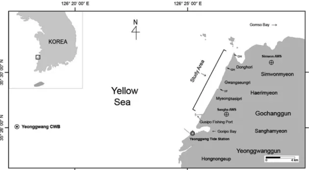 Fig. 2. Map of the study area. Three transect lines includ- includ-ing ticks (30m interval) represent monitorinclud-ing set-up for  ele-vation changes and sampling of surface sediments.