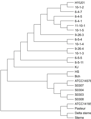 Fig. 3. Genetic relationships of the 14 CH strains. The lines  linking different strains indicate SNR mutations