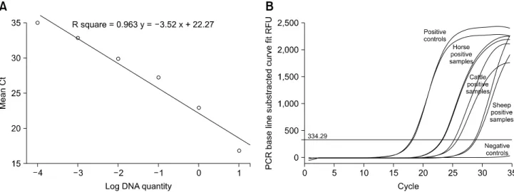 Fig. 1. (A) The linear standard curve obtained for the dilution series of D. congolensis DNA ranging from 10 ng to 1.10 -4  ng