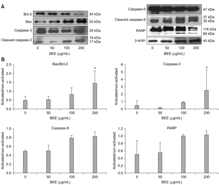 Fig. 4. Effect of BEE on the expression of apoptotic proteins in HepG2 HCC cells. β-actin was used as an internal control (A)