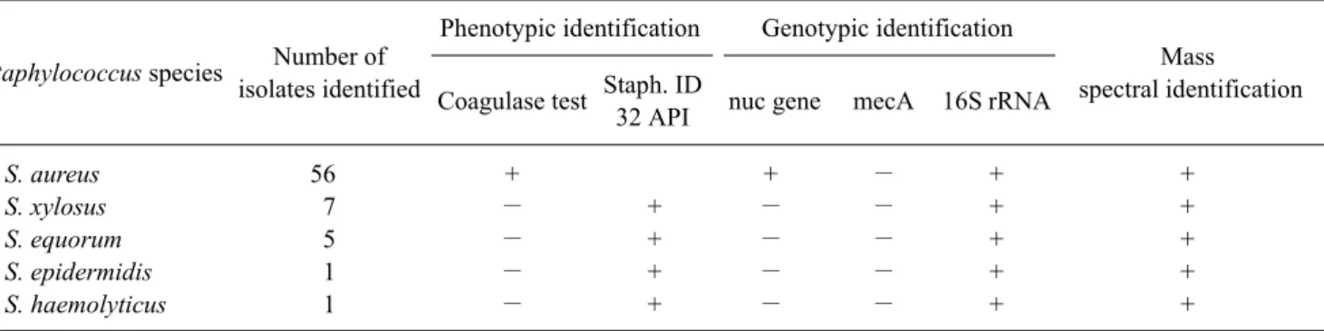 Table 1. Phenotypic, genotypic, and mass spectral identification of Staphylococcus (S.) aureus isolates and coagulase negative species  (CNS) from cows with subclinical cases of mastitis