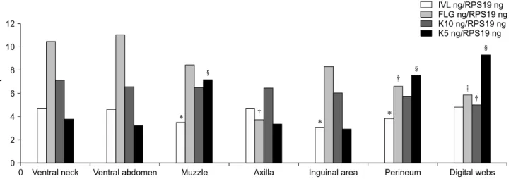 Fig. 5. mRNA was collected from the skin of dogs. The levels of involucrin, filaggrin, keratin 10, and keratin 5 expression were then evaluated by RT-PCR