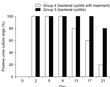 Table 3. Mean urine white blood cell and red blood cell counts  for the four experimental groups 