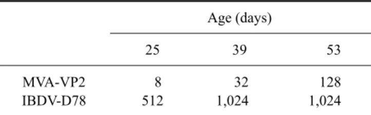 Fig. 1. Expression of mature viral mature protein 2 (VP2) from  modified vaccinia Ankara-VP2 recombinant virus