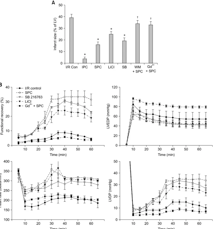 Fig. 2. Effects of SPC on ex vivo hearts. (A) After each experimental treatment, sections of the hearts were stained with 2,3,5-triphenyl tetrazolium chloride (TTC)