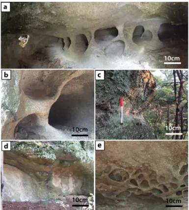 Fig. 4. Classification of Mt. Cheonsaeng tafoni (a: internal structure of a tafone, BbH-type, b: l-type tafone, c: S-type tafone, d: