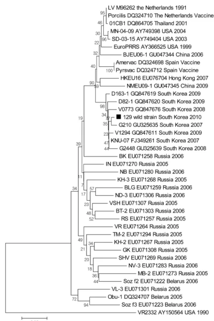 Fig. 3. Phylogenetic analysis of ORF7 nucleotide sequences of a wild boar-derived and other various PRRSVs