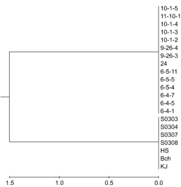 Fig. 1. Genetic relationships among B. anthracis strains isolated in Korea identified by multiple-locus variable-number tandem  repeat analysis (MLVA)