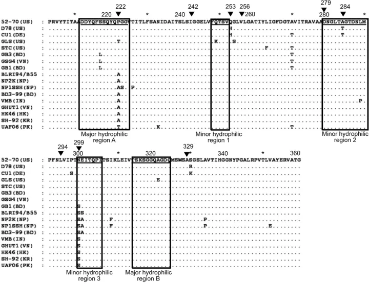 Fig. 1. Alignment and comparison of predicted amino acid sequences for the hypervariable region of the VP2 gene of 17 IBDV  isolates
