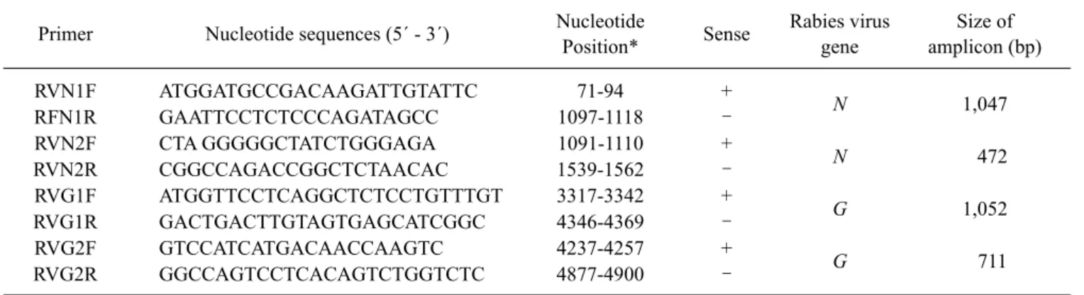 Table 2. List of the oligonucleotide primers used for RT-PCR of rabies virus Primer Nucleotide sequences (5´ - 3´) Nucleotide