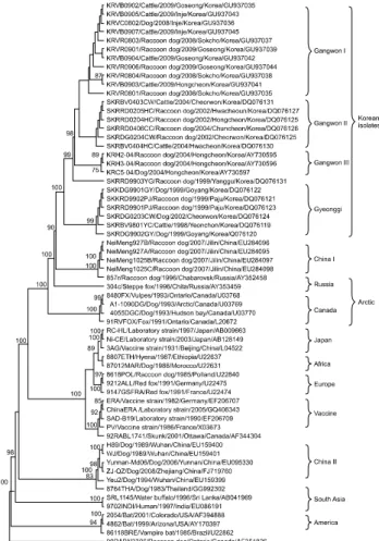 Fig. 2. Phylogenetic analysis based on the complete N gene  nucleotide sequences of the isolates and other sequences obtained from the GenBank database