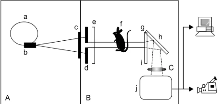 Fig. 1. Schematic diagram of the experimental set-up. Polychromatic X-rays (A), are emitted from the bending magnet device (b) of the storage ring (a) then pass through two slits (c: fixed one in the  vacuum, d: changeable in the air) to control the beam s