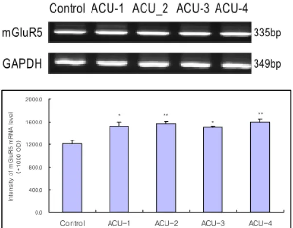Fig. 4. Effect of acupuncture by needle manipulation  at the LR1·HT9, KI10·HT3 on the intensity of  mGluR5 mRNA in the hippocampal CA1