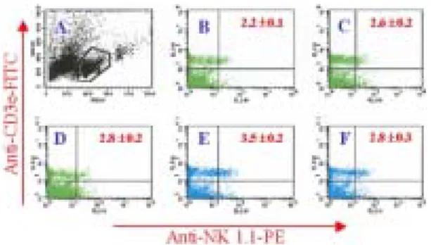 Fig.  5.  Effects  of  EDR-HA  on  the  percentage  of  N.K  1.1 + /CD3e +   in  mouse  PBMCs.