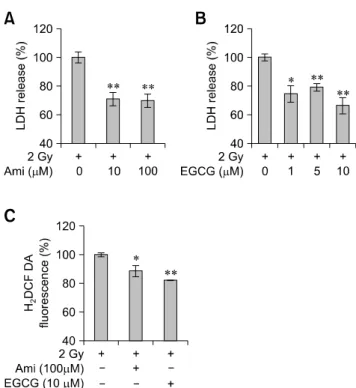 Fig. 3. Western blot analysis showing active caspase-3 and  cleaved poly (ADP-ribose) polymerase (PARP) expression in  immature hippocampal neurons with γ-irradiation (2 Gy)