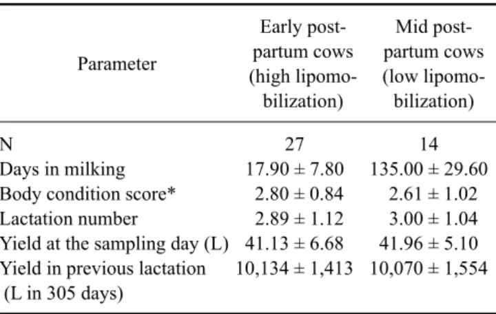 Table 2. Analysis of the totally mixed rations (%) given on the  farms