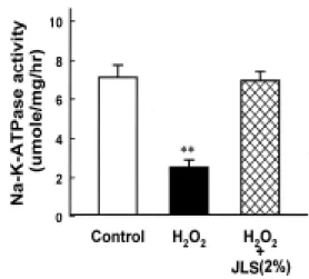 Fig. 9. Effect  of  JLS  in  H 2 O 2 -induced  inhibition  of Na-K-ATPase activity in synaptosomes