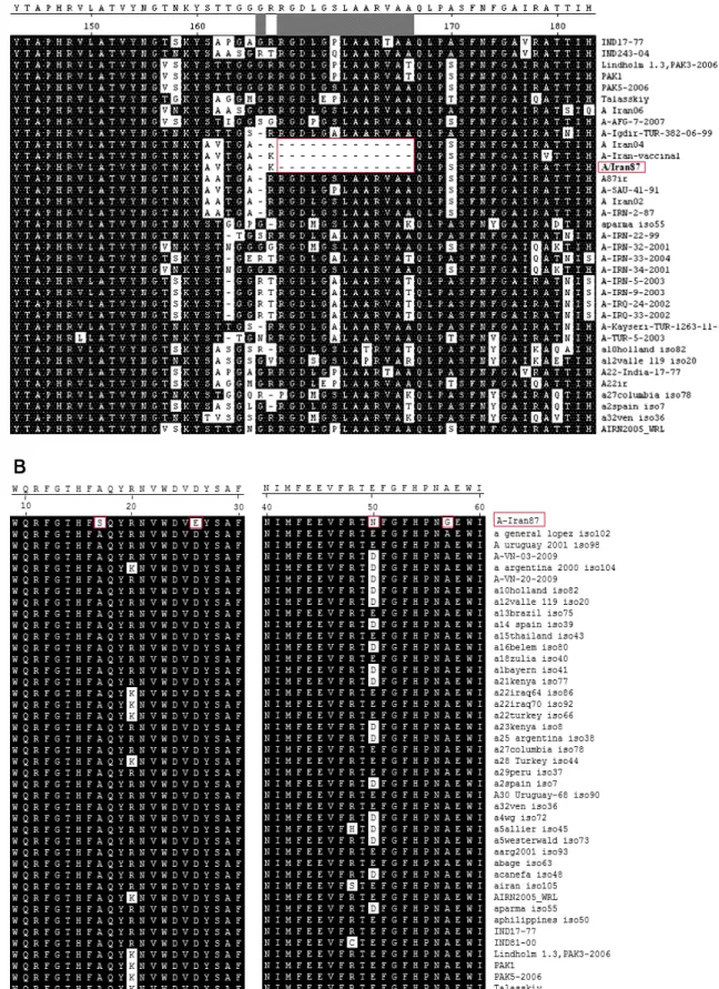 Fig. 1. Alignment of the translated amino acid sequences of the (A) VP1 and (B) 3D polymerase (3D pol ) genes