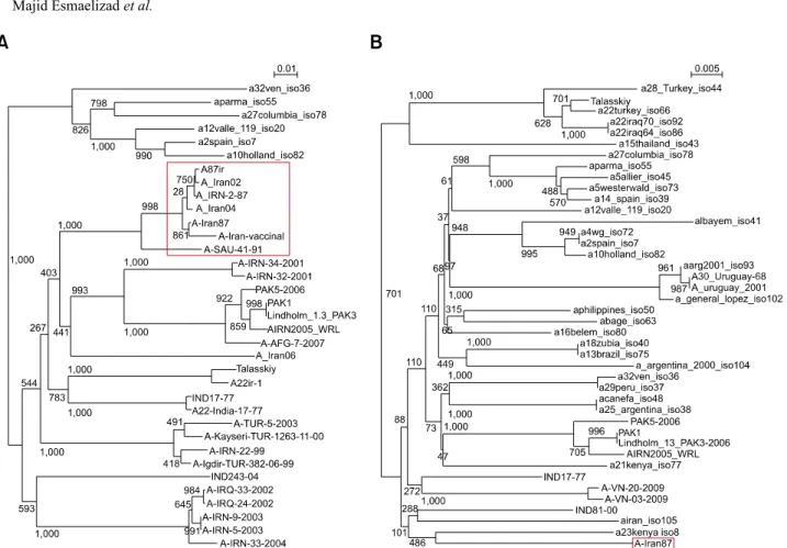 Fig. 2. Phylogenetic tree showing relationships among different A field viruses according to the (A) VP1 and (B) 3D pol  gene sequences.
