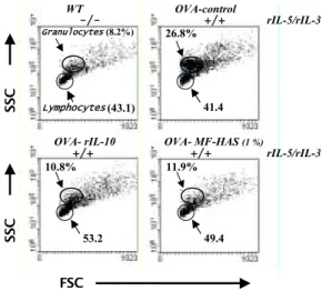 Fig. 1. Effect of MF-HAS on granulocytes/lymphoc- granulocytes/lymphoc-ytes  population  (%)  in  mouse  OVA-indued  asthma  lung  cells.