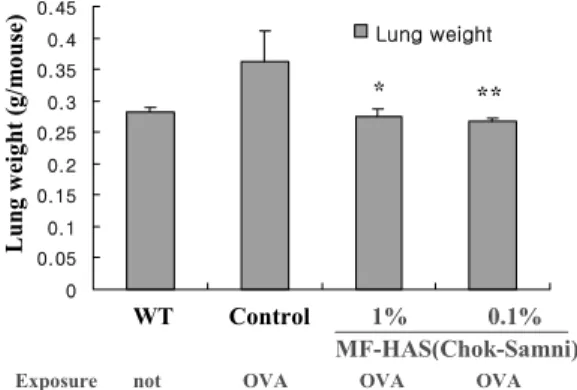 Fig. 6. Effect  of  MF-HAS  on  lung  weight  in  mice  with  OVA-indued  asthmatic  mouse  lung  weight.