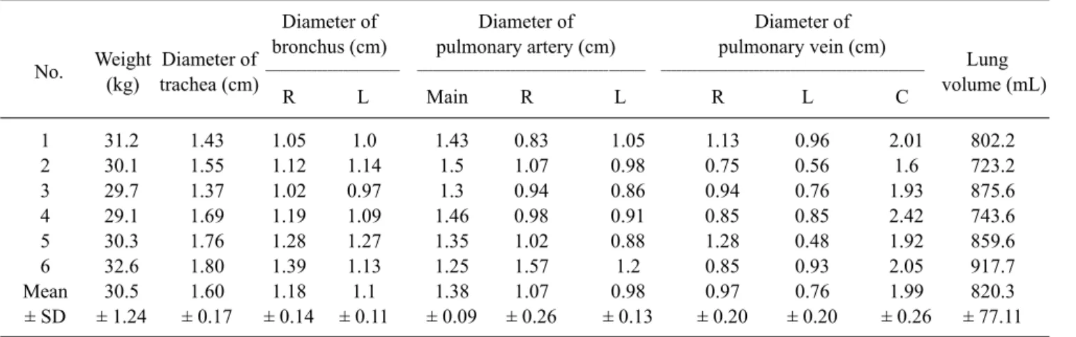 Table 1. Clinical and radiographic data of the pulmonary systems of 6 micropigs