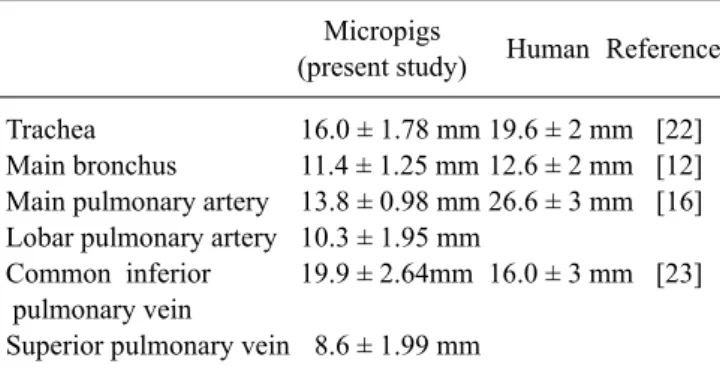 Table 2. Comparison of pulmonary diameters between micropigs and humans Micropigs Human Reference (present study) Trachea 16.0 ± 1.78 mm 19.6 ± 2 mm [22] Main bronchus 11.4 ± 1.25 mm 12.6 ± 2 mm [12]