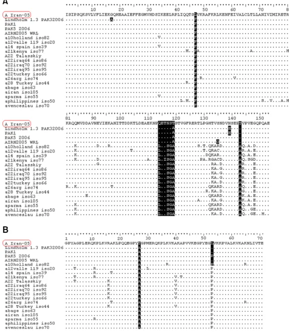 Fig. 1. (A) Alignment of the deduced amino acid sequences of the 3A gene. (B) Alignment of the deduced amino acid sequences of the  3B gene