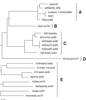 Fig. 2. Nucleotide sequence similarity tree based on a comparison of A Iran 05 isolate to other type A isolates, established with 3AB coding sequences (672 bp).