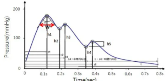 Fig. 2. Pulse waveform on radial artery, and parameters