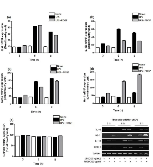 Fig. 3. The mRNA of inflammatory response factors were analyzed by RT-PCR.