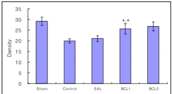 Fig. 8 The values of density of Choline acetyl- acetyl-transferase(ChAT) stainted nuclei in the hippocampal CA1 are shown