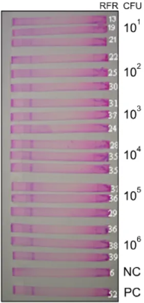 Fig. 1. Dose-response curve of the optimized lateral flow  biosensor assay using quantified synthetic DNA target sequence