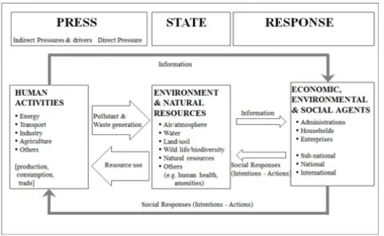 Figure 2.1. Press State Response Model from OECD 표의 역사는 짧고 개념상으로나 자료의 가용성 측면에서 미비한 점이 많은 실정이다