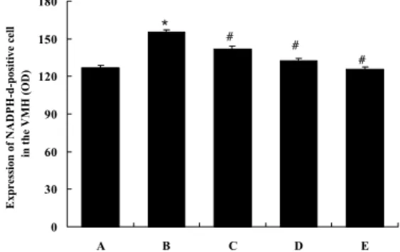 Fig. 4. Mean  densities  of  NADPH-d-positive  cells  in  the  lateral  hypothalamic  area  (LHA)   re-gion  in  each  group