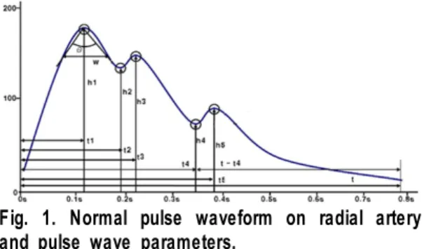 Fig. 1. Normal pulse waveform on radial artery and pulse wave parameters.