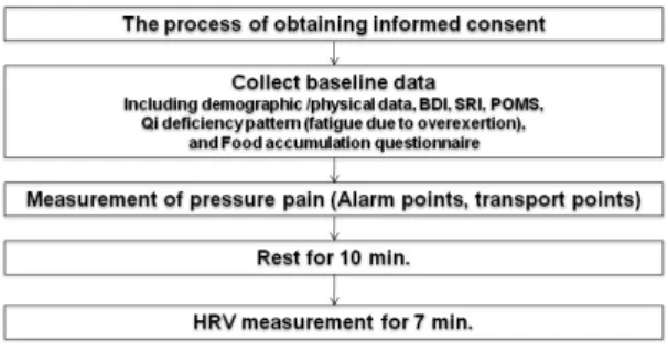 Fig. 1. Protocol of experiment.