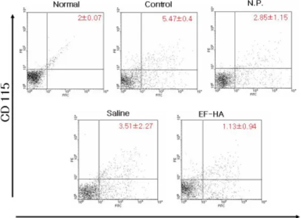 Fig. 9. Effect of EF-HA on osteoclast like cell in tibia of ovariectomized mice.