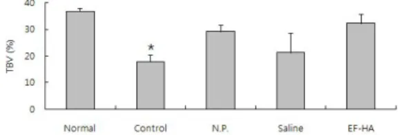 Fig. 11. Effect of EF-HA on the trabecular bone volume of tibia in ovariectomized mice.