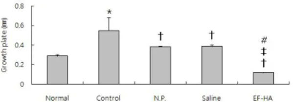 Fig. 12. Effect of EF-HA on the trabecular bone thickness of tibia in ovariectomized mice.