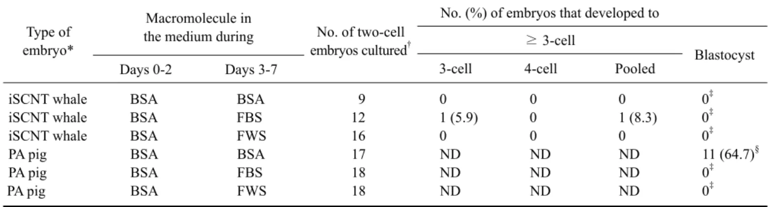 Table 5. The effect of a two-step culture using medium containing bovine serum albumin, fetal bovine serum or fetal whale serum on in vitro development of interspecies somatic cell nuclear transfer whale embryos